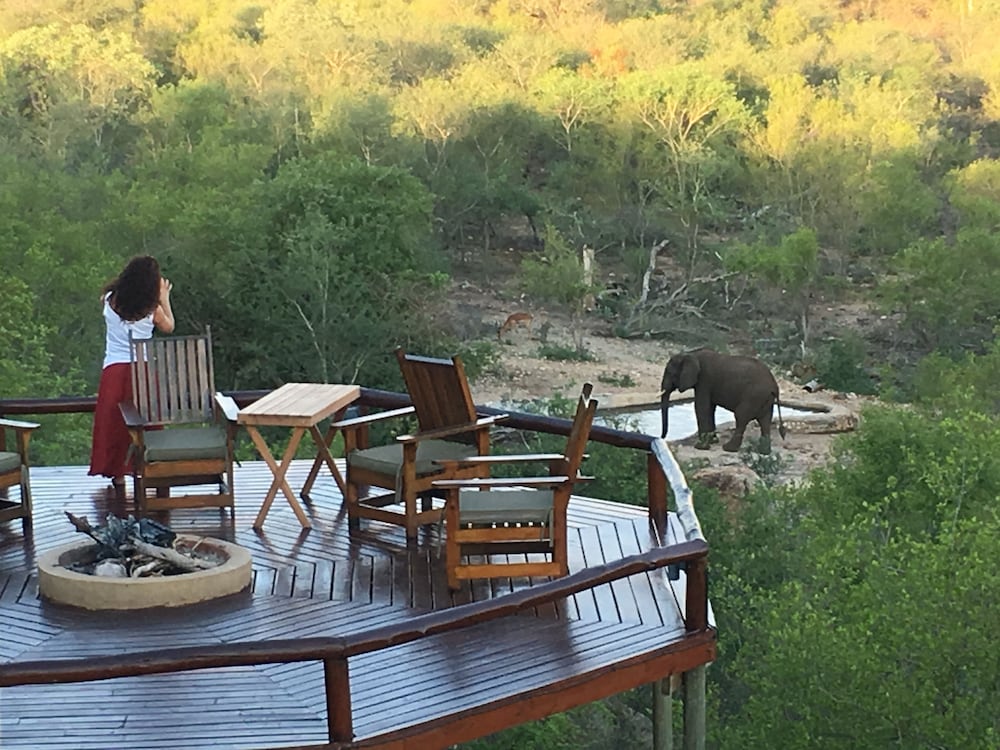 Elephant Game Lodge