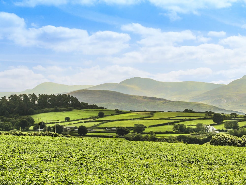 Coed Bolyn Lodge view 5