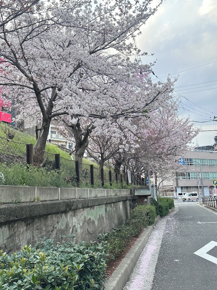 Tabi Time Kishinosato Miyama
