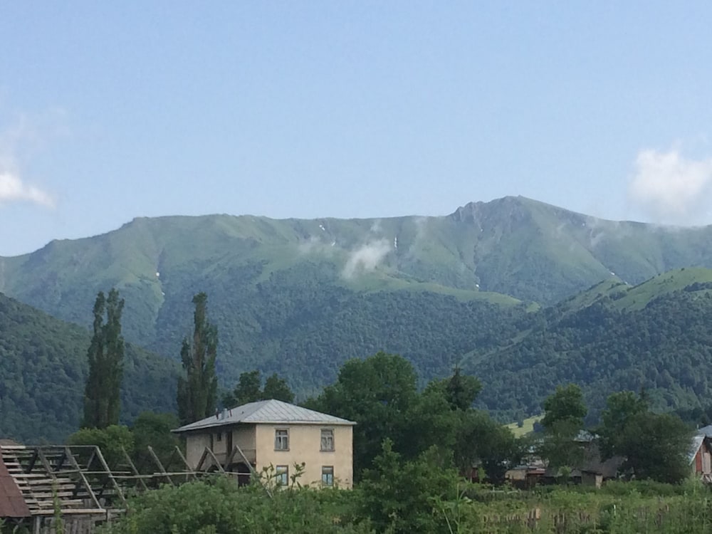 Mount view