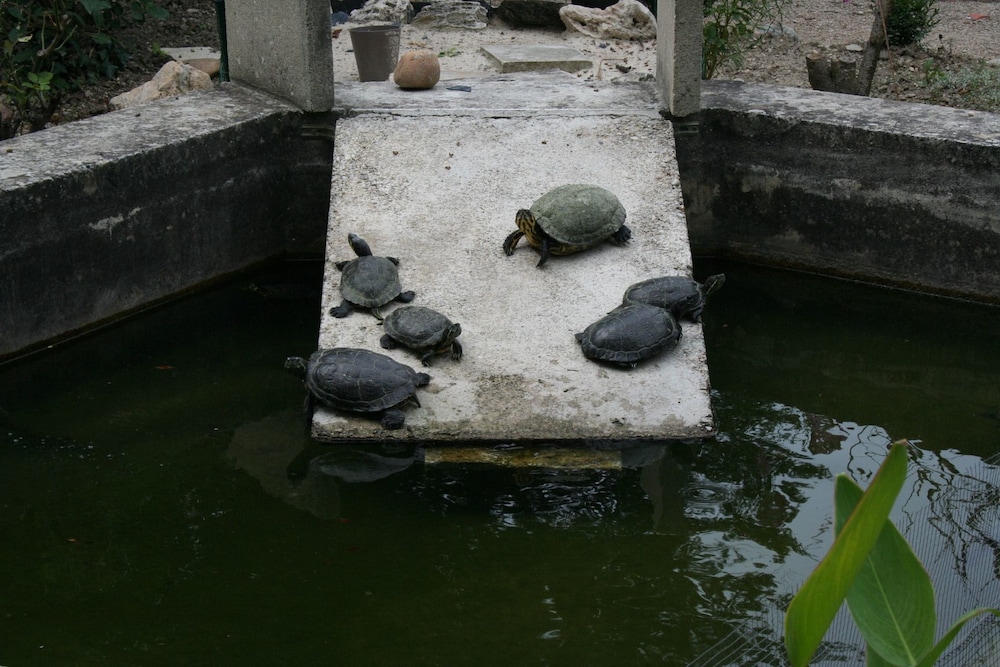 Photo 10