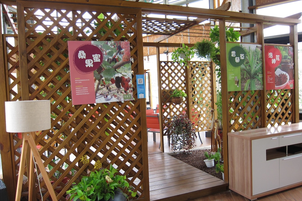 Green Willow House