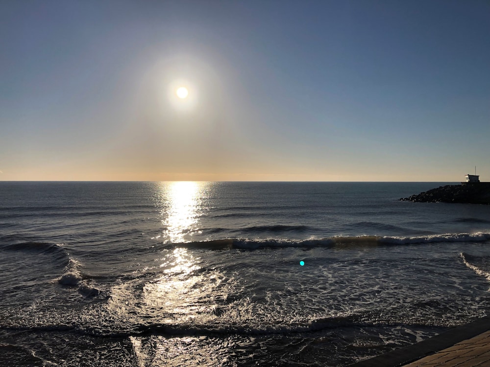 Sunny View