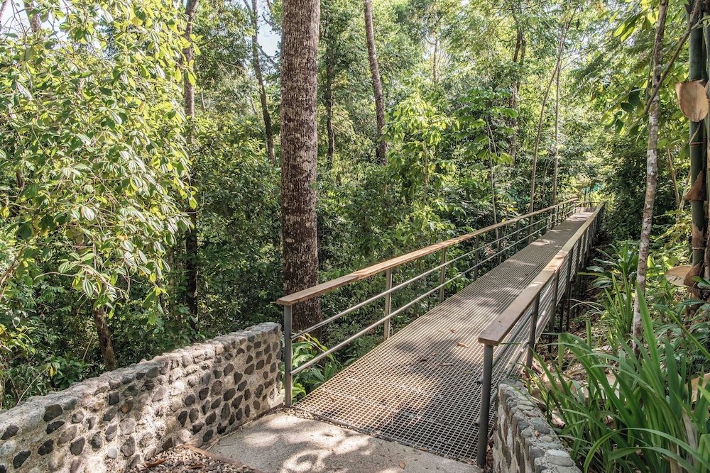 El Remanso Rainforest Lodge