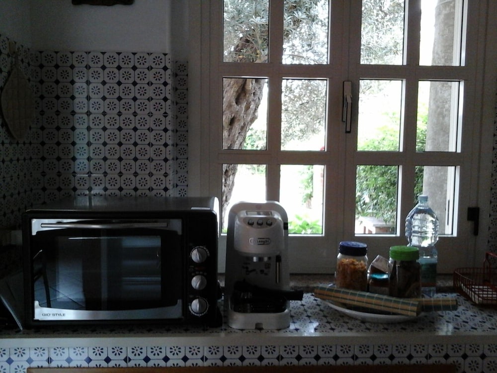 Photo 46