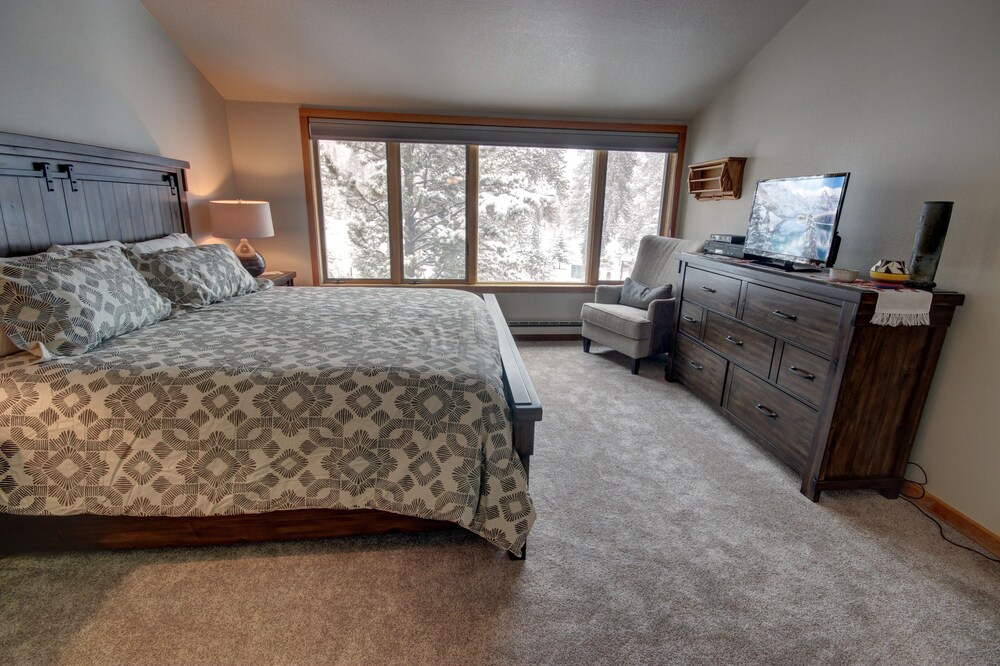 Pines 2169