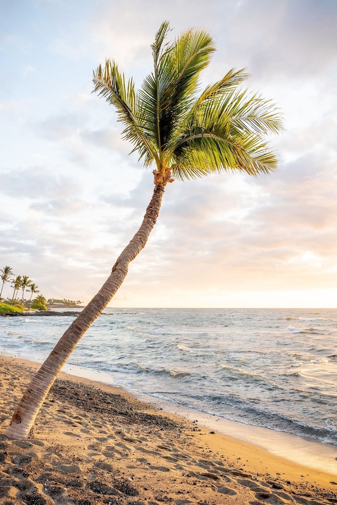 Sandy Toes Getaway in Kona