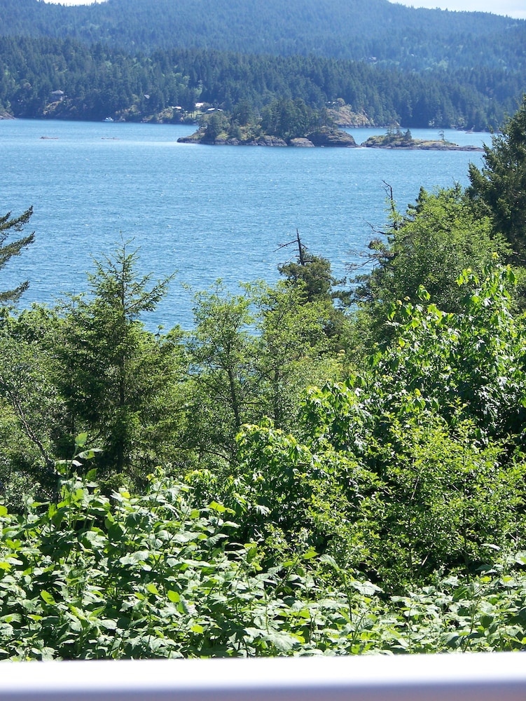 Moonlit Cove B&B