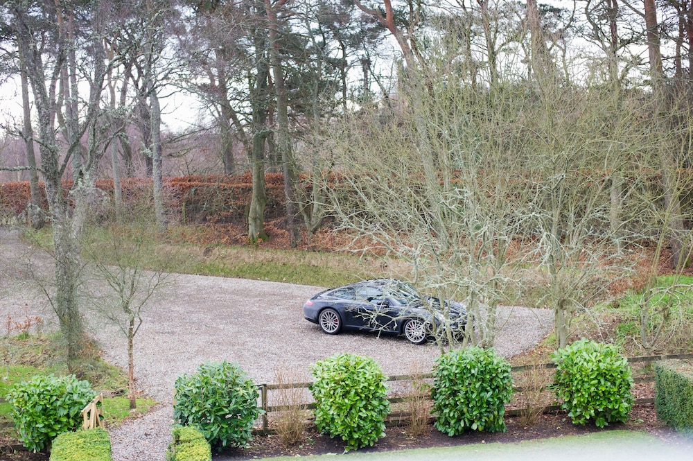 The Steading