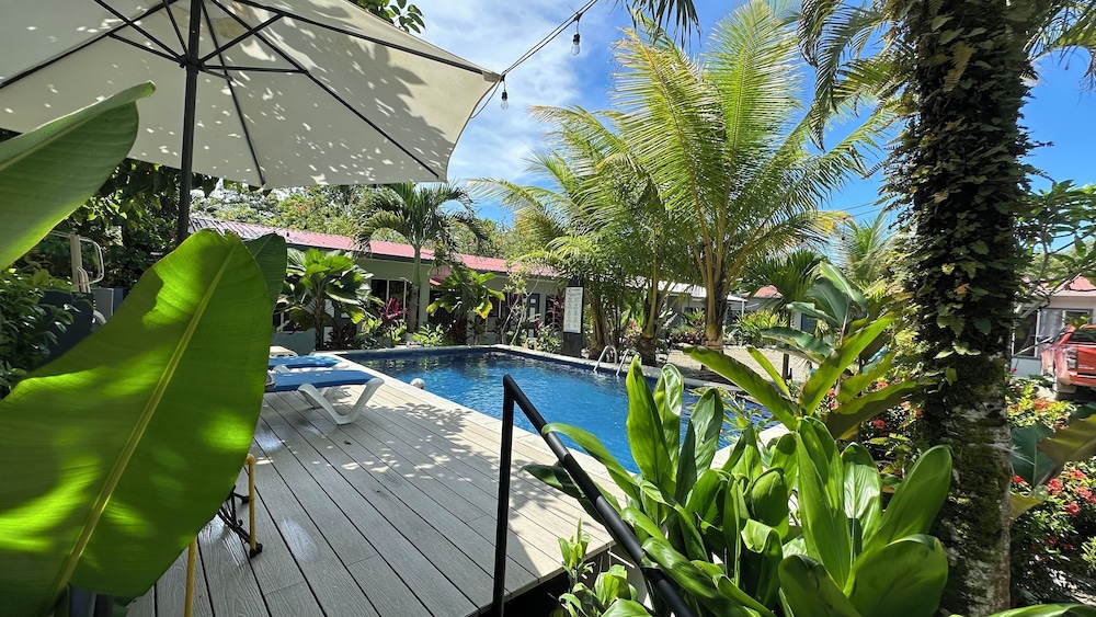 Hotel Rooms & Pool Macaws - Image 1