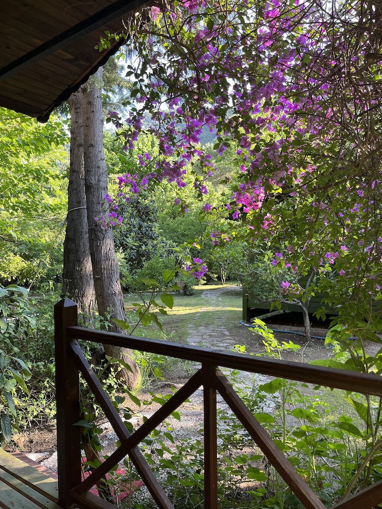 Kibala Otel - Butik Sınıf - Image 37