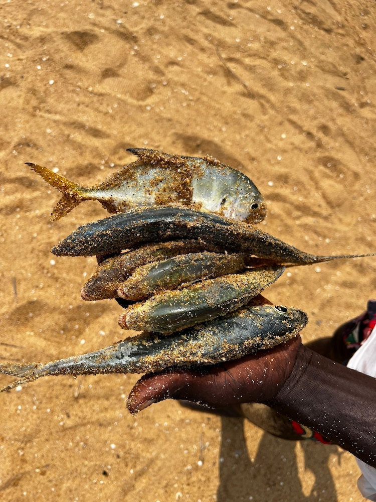Village Kirikou