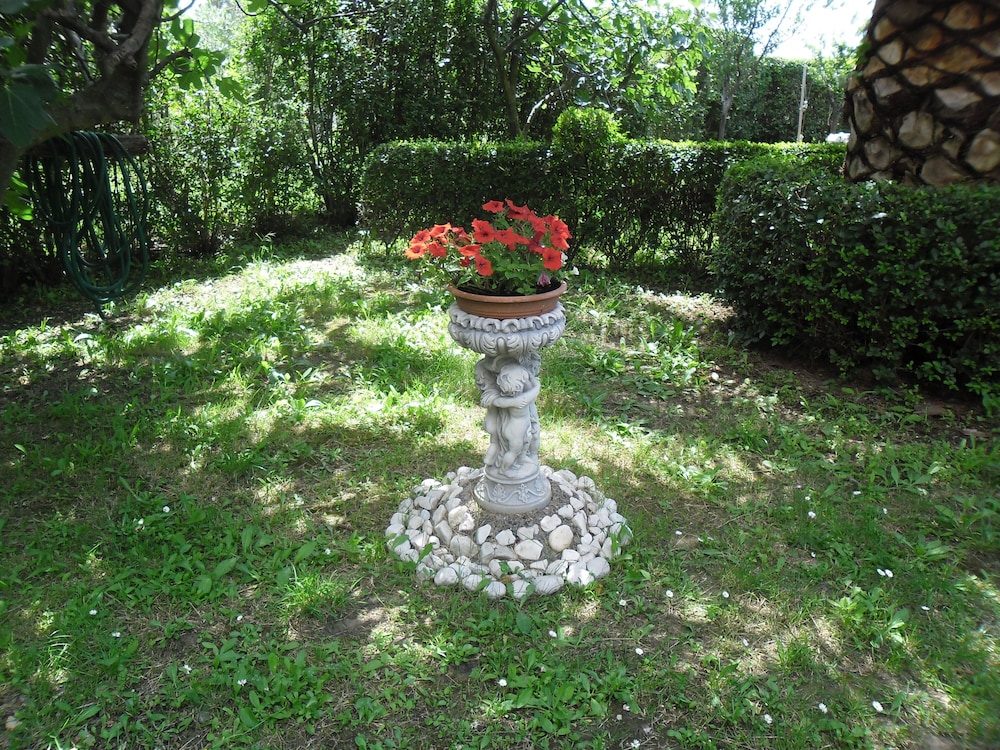 Photo 31