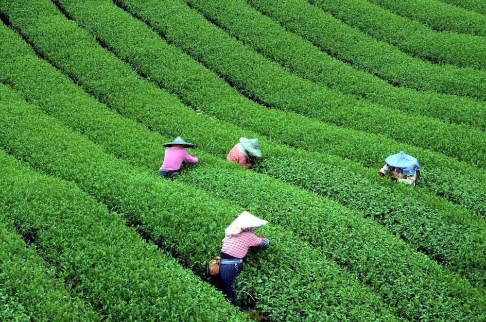 Shen Shan Lin Nai B&B
