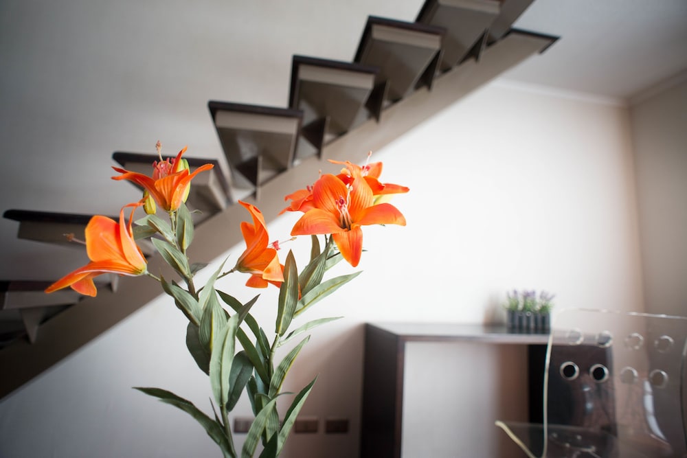 Villa Apartments Santiago