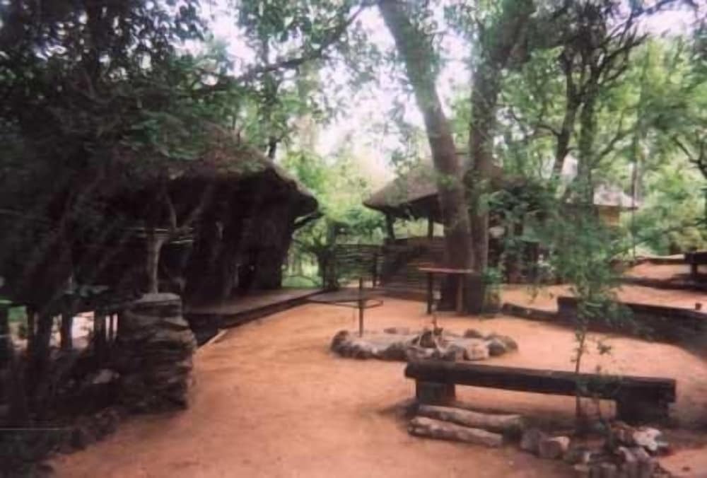 Offbeat Safaris