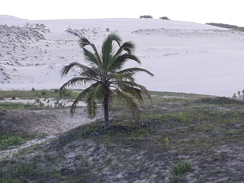 Hotel Paraíso da Dunas