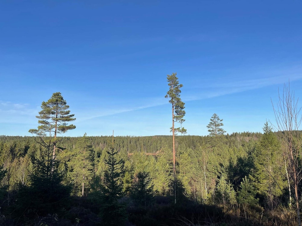 10 Person Holiday Home in Backefors