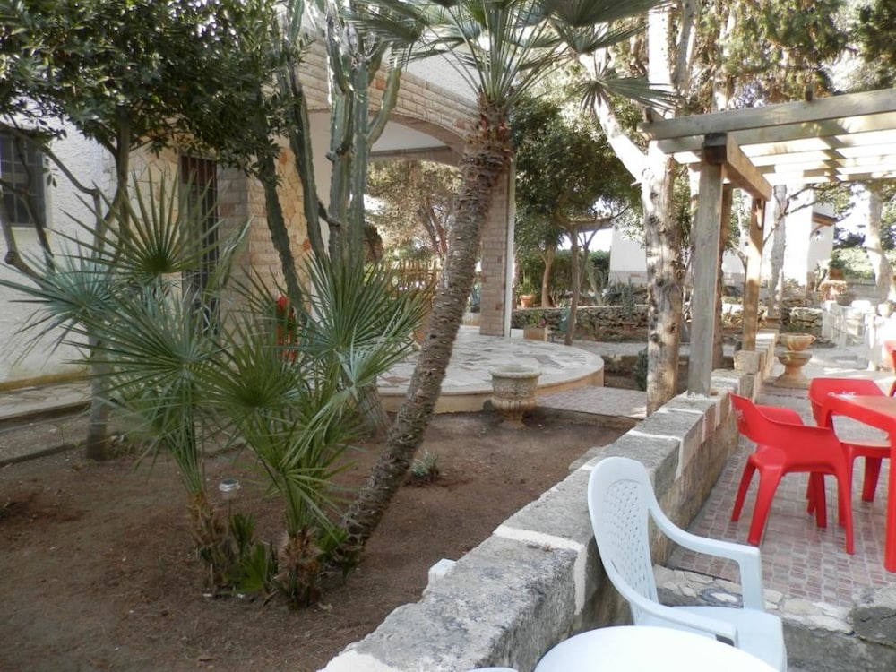 Photo 25