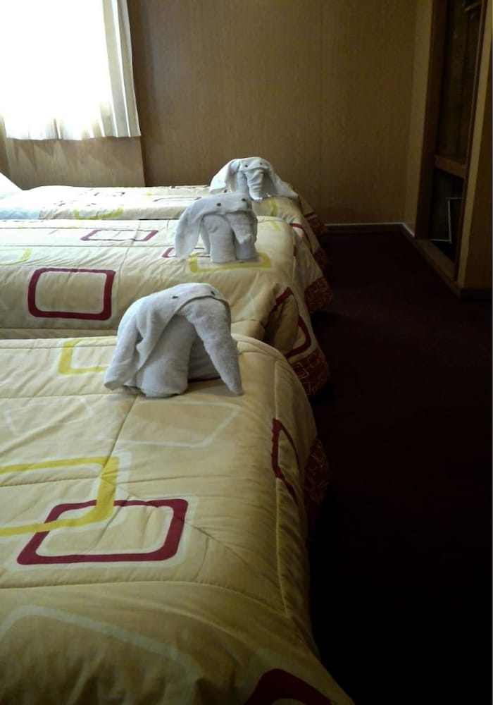 Puma Hostel Puno