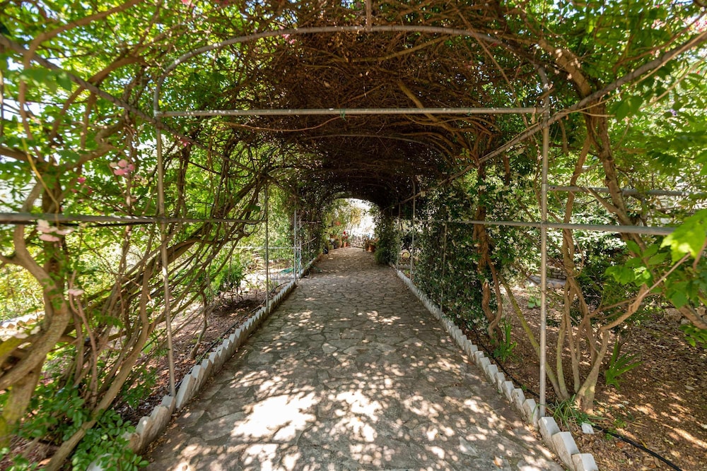 Odyssey s Palace - Escape in Mythical Ithaca