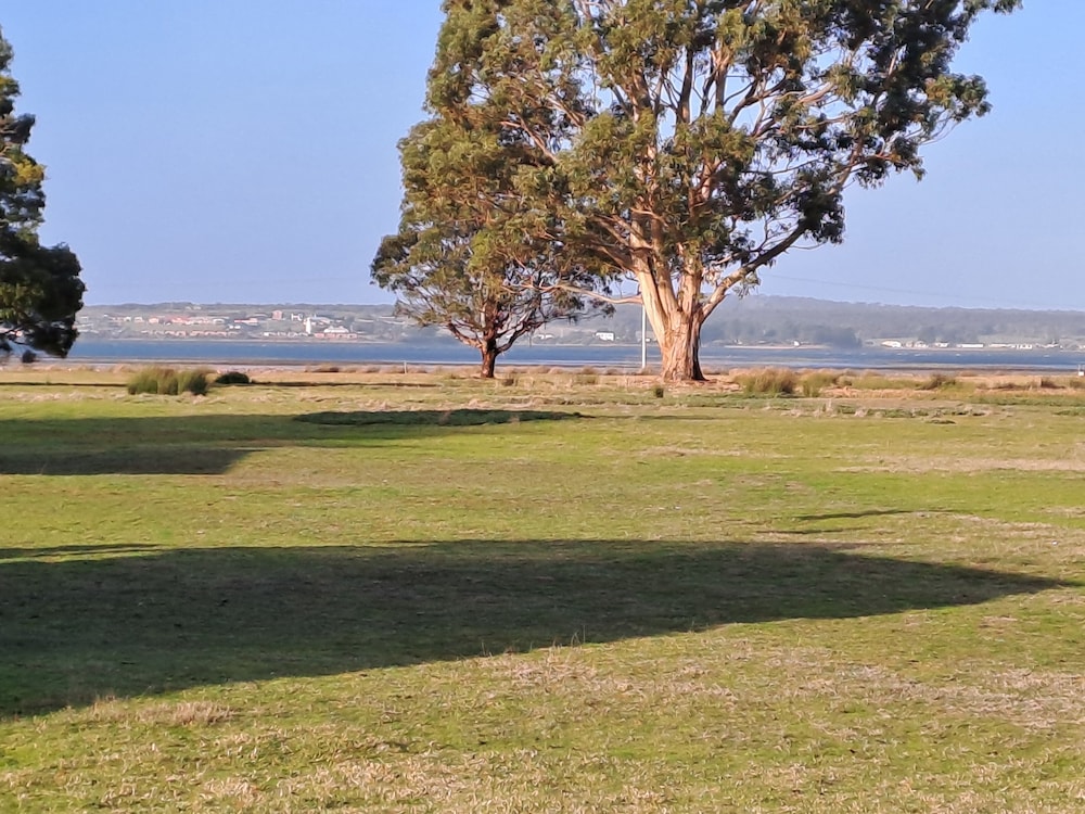 BIG4 Kelso Sands Holiday and Native Wildlife Park