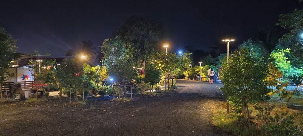 Photo 42