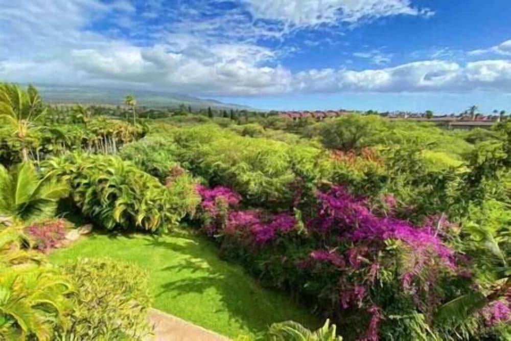 Signature Residences at Maui Banyan