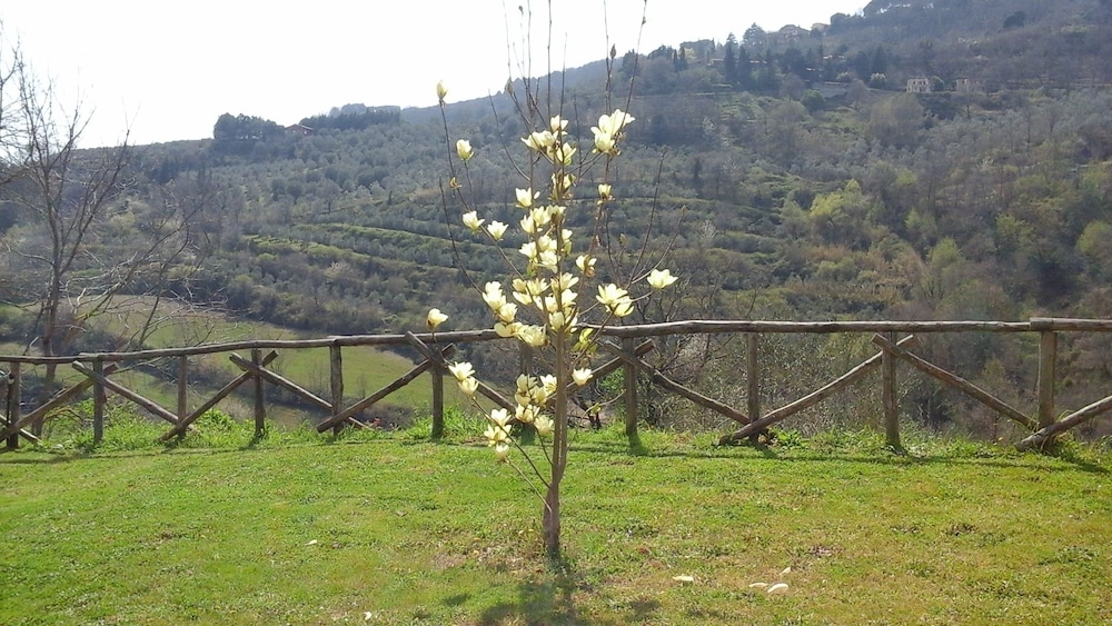 Cor Di Bezzolo, Φωτογραφία 28