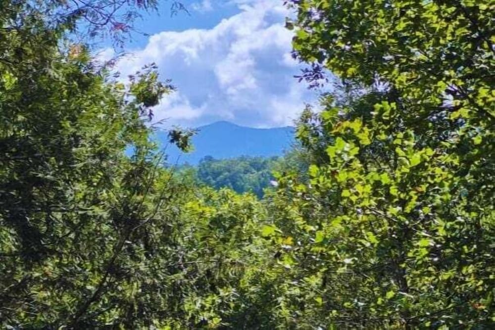 Misty Mountain View - 2 bedroom 2 Cabin