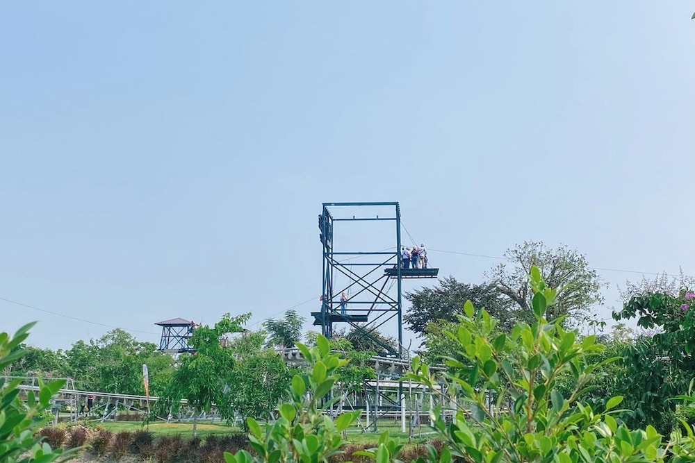 Buffalo Island Resort