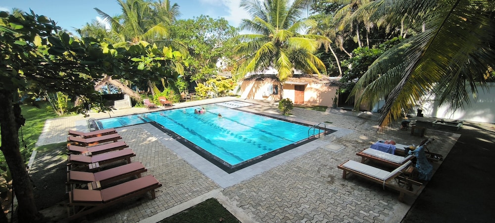 Papaya Hikkaduwa