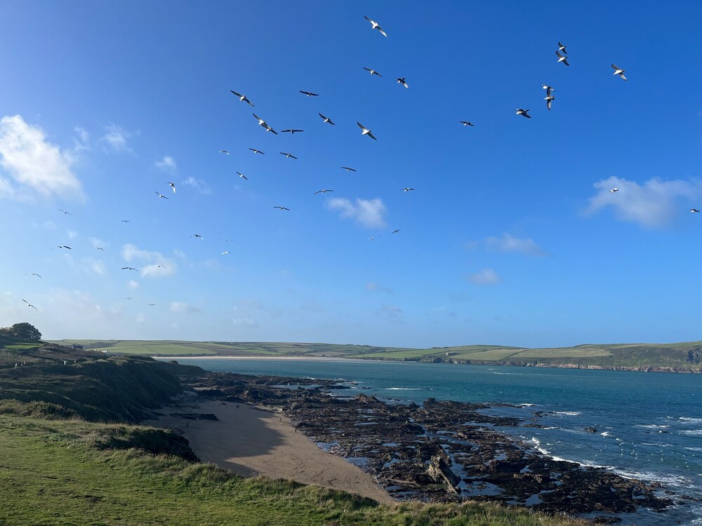 Shorelands