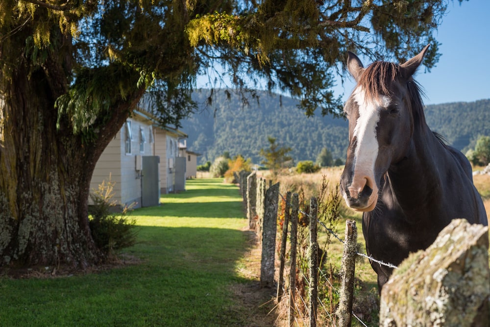 Fox Glacier TOP 10 Holiday Park & Motels 26