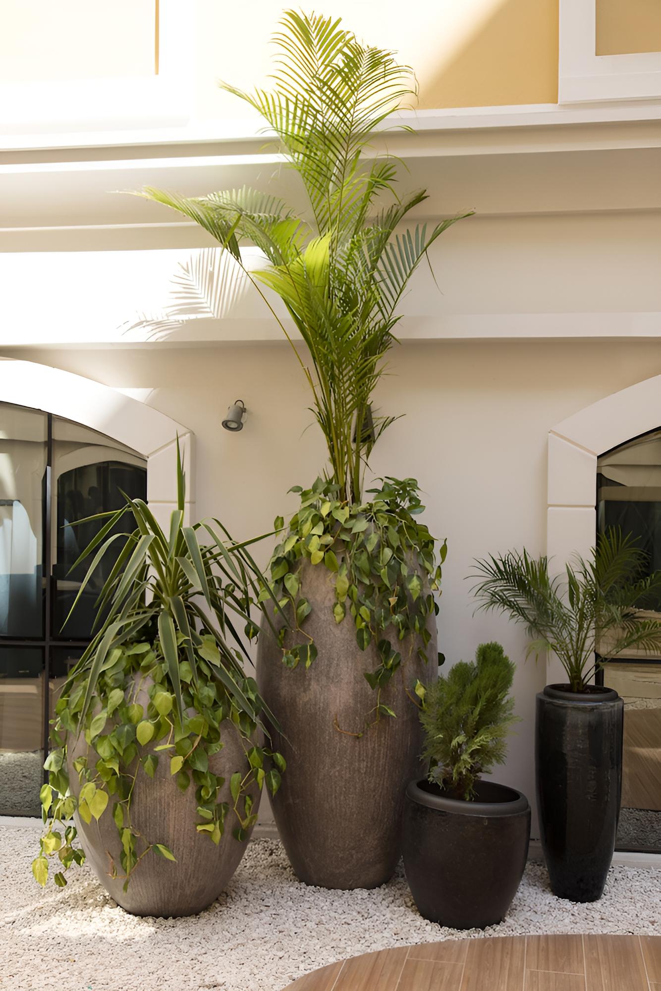 Muscat Hotel & Apartment