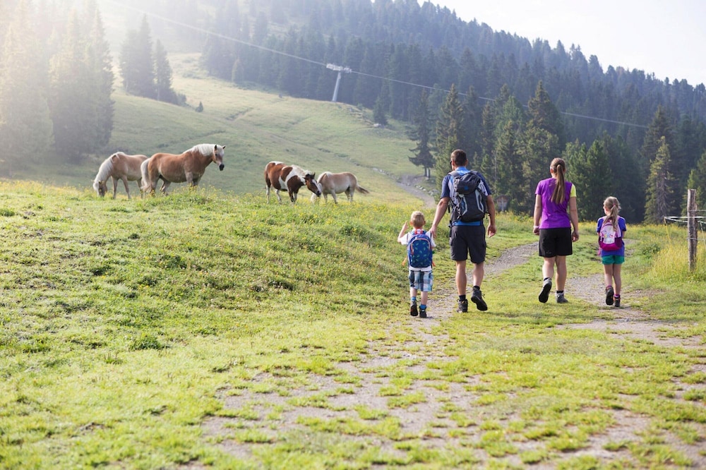 Apartment in Konigsleiten Near Zillertal Arena