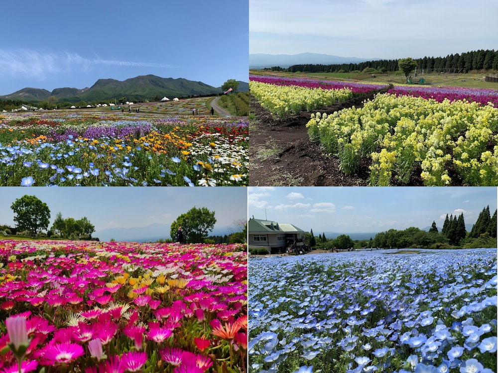 kujuhanakoen campingresort hanatohoshi