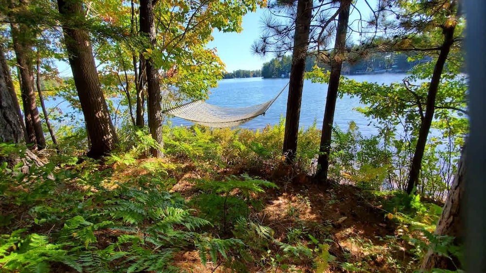 The Stabbin Cabin Grant Island w Boat Hottub Pet