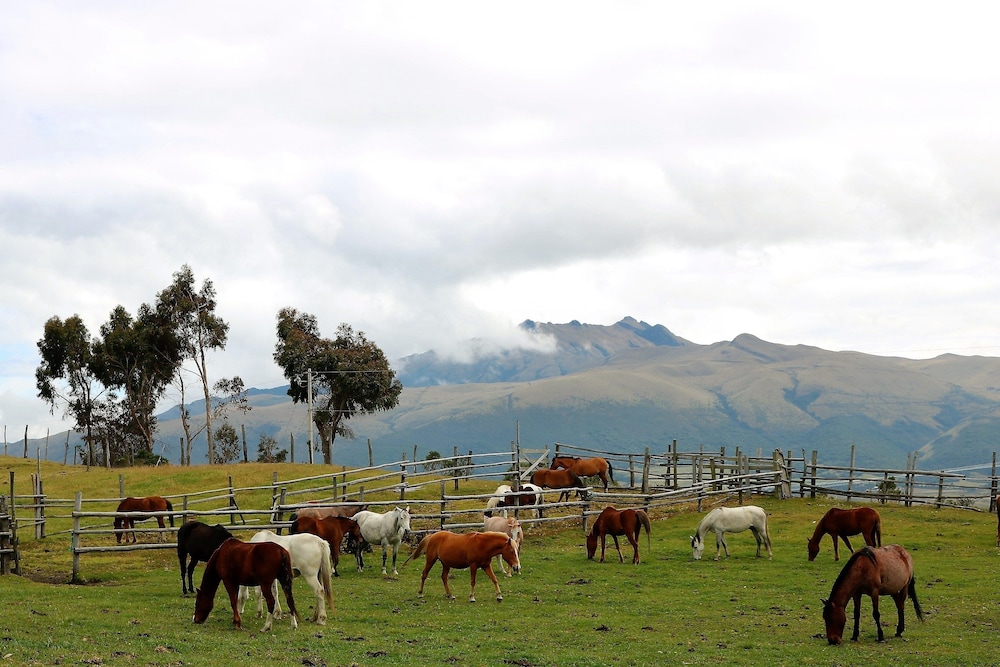 Hacienda El Porvenir
