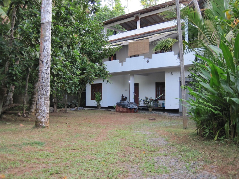 Jungleside House