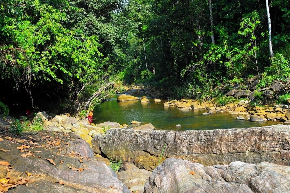 Makeliya Jungle & Waterfall Tour