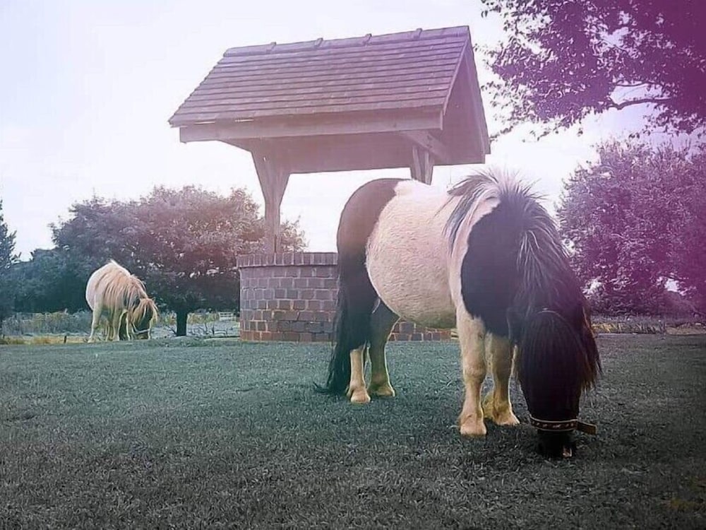 The Moorhead Bed & Breakfast