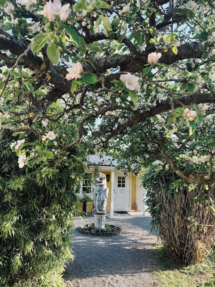Villa Sol B&B and hostel