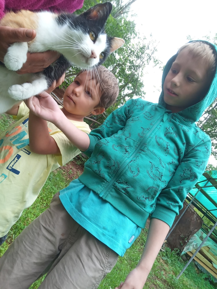 Photo 25