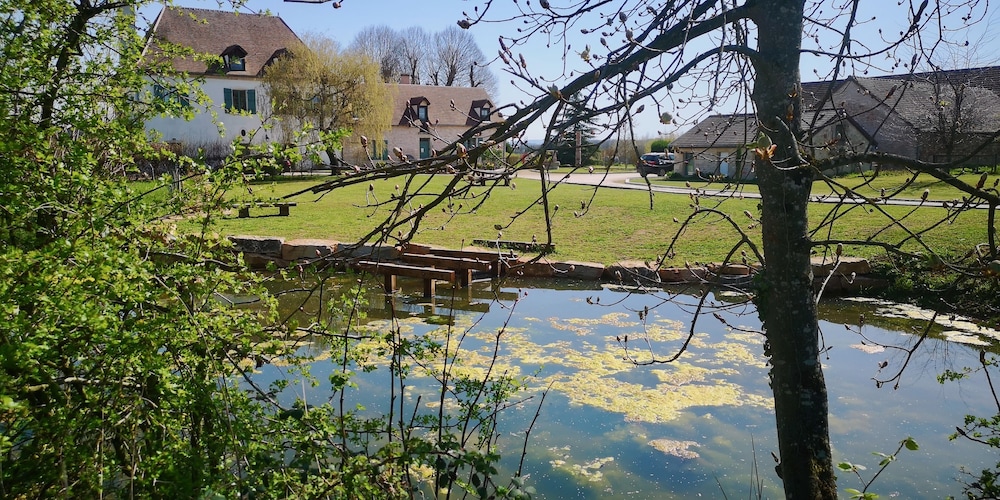 Photo 43