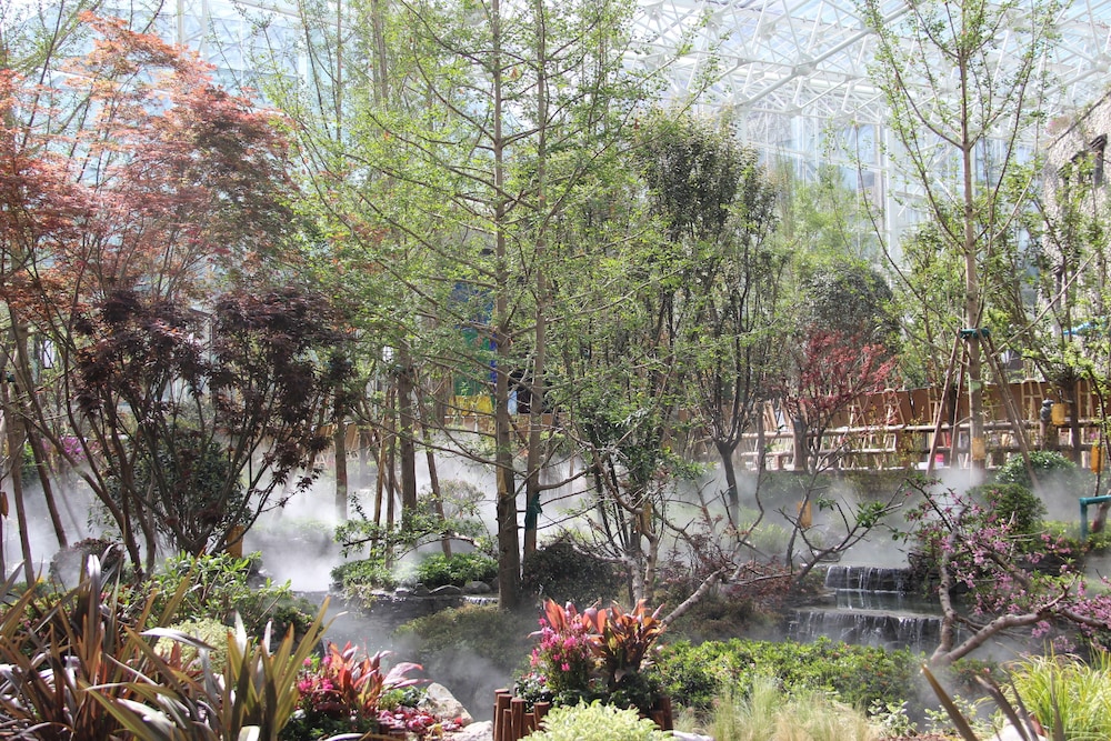 InterContinental Resort Jiuzhai Paradise by IHG 7