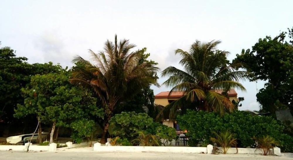 Photo 44