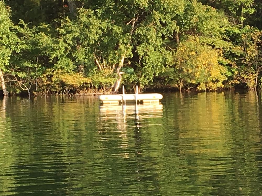 Dixon Lake Resort