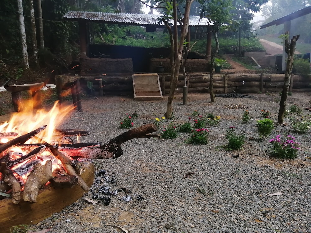 Foret De Vill - Hostel