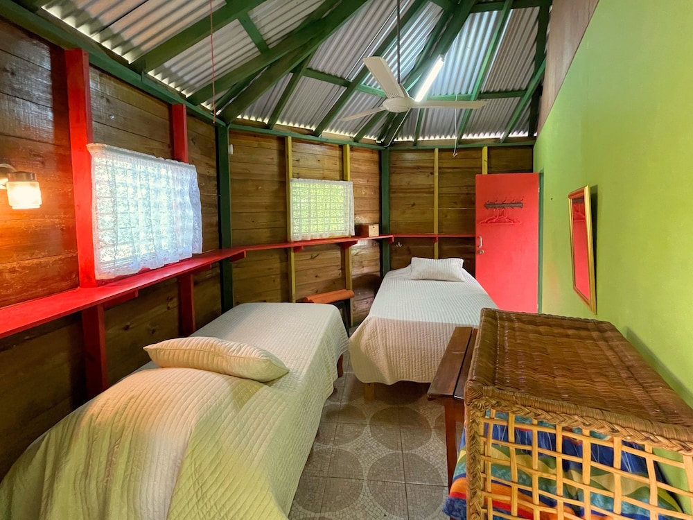 Judy House - Lewi's Backpacker Hostel view 5